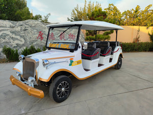 FGLYC 4-12 Passenger Club Cart: Unleash Electric Power and Comfort